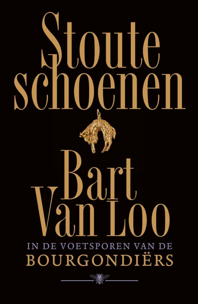 Book cover for Stoute schoenen