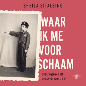 Waar ik me voor schaam - luisterboek
