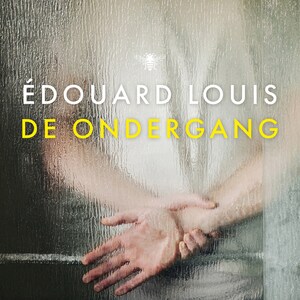 De ondergang - luisterboek