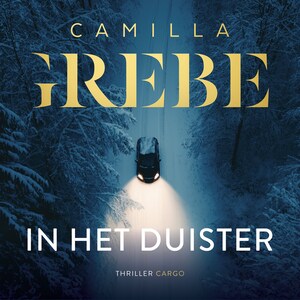 In het duister - luisterboek