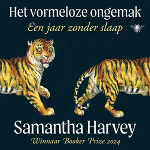 Het vormeloze ongemak - luisterboek