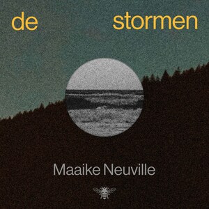 De stormen - luisterboek