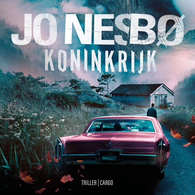 Book cover for Koninkrijk