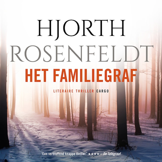 Book cover for Het familiegraf