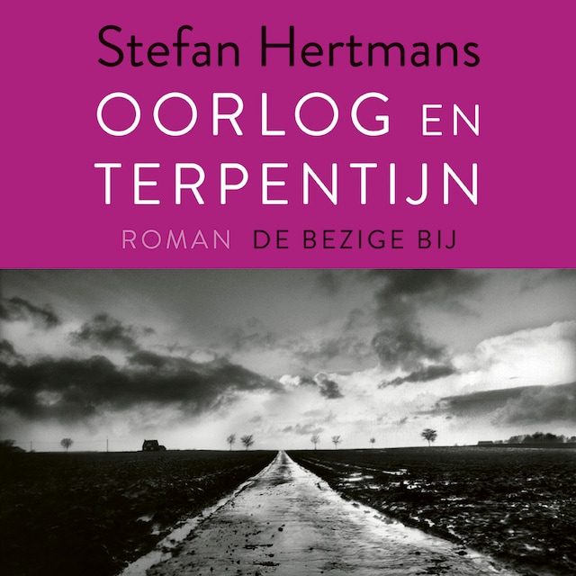 Book cover for Oorlog en terpentijn