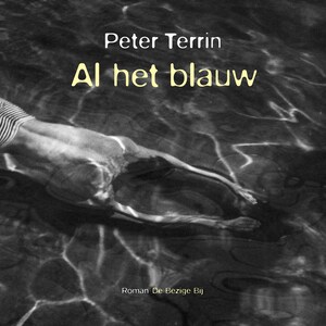 Al het blauw - luisterboek