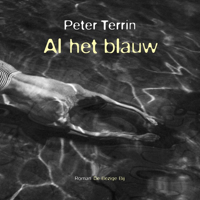 Book cover for Al het blauw