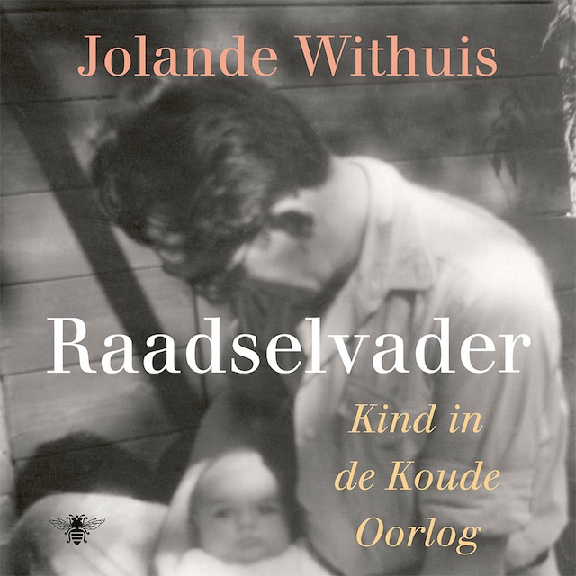 Book cover for Raadselvader