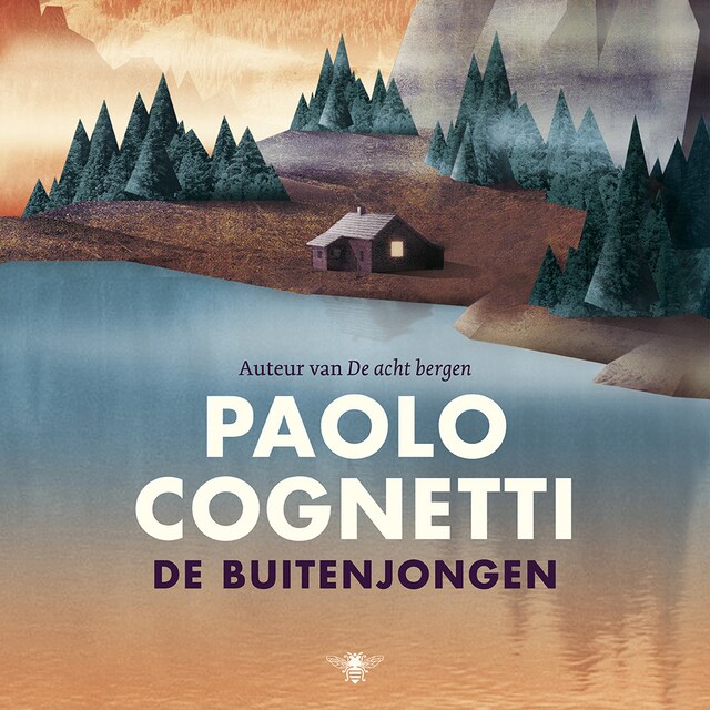 Okładka książki dla De buitenjongen