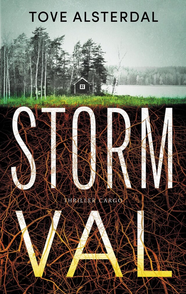 Couverture de livre pour Stormval