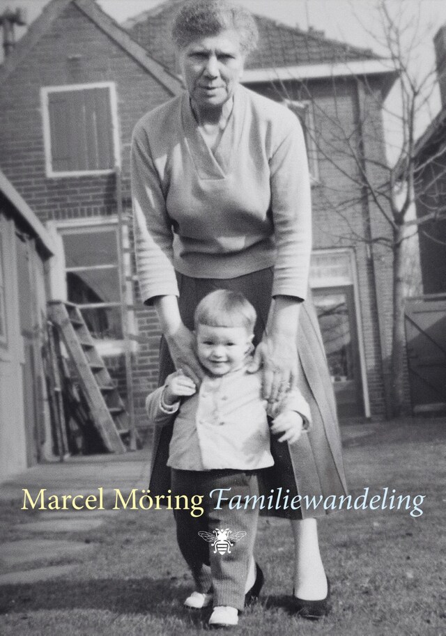 Book cover for Familiewandeling