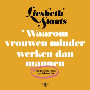 Waarom vrouwen minder werken dan mannen - luisterboek