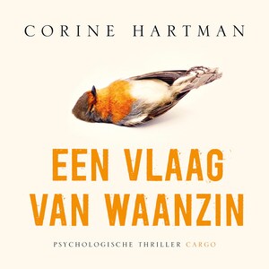Een vlaag van waanzin - luisterboek
