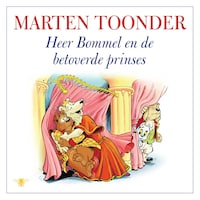 Heer Bommel en de betoverde prinses