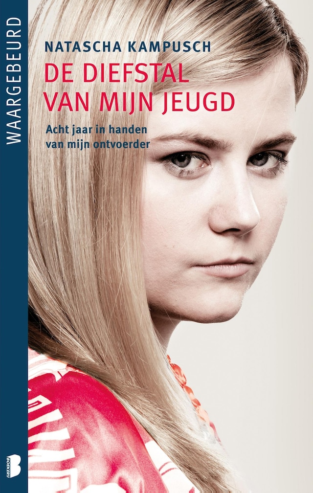 Book cover for De diefstal van mijn jeugd