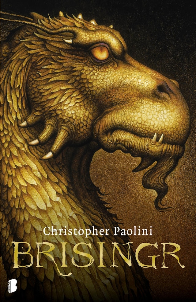 Book cover for Brisingr