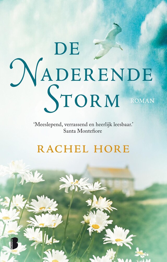 Book cover for De naderende storm