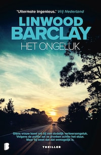 Het ongeluk
