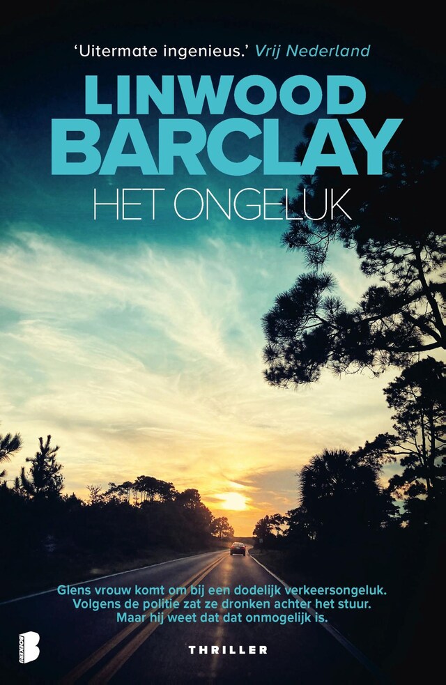 Book cover for Het ongeluk