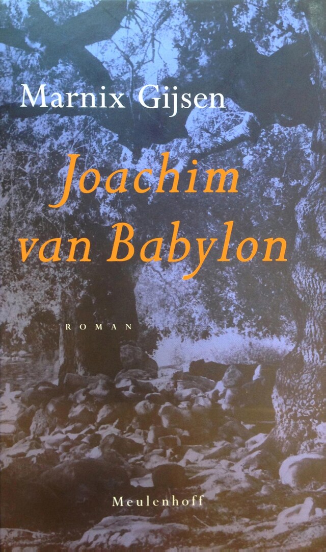 Book cover for Het boek van Joachim van Babylon