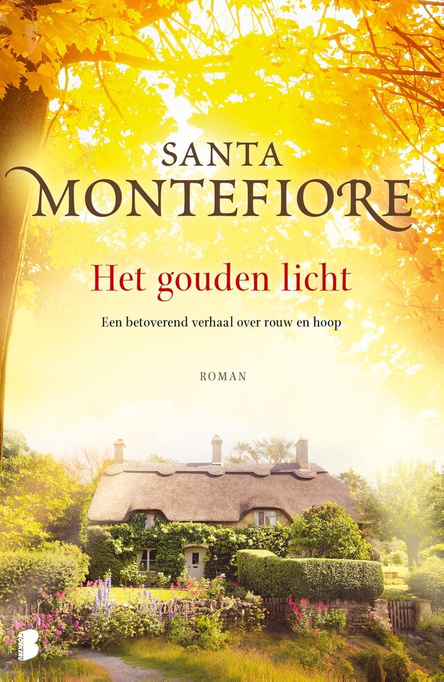 Book cover for Het gouden licht