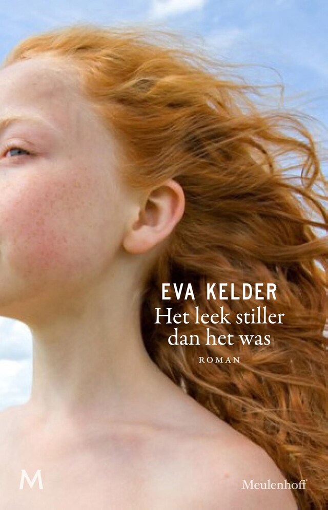 Book cover for Het leek stiller dan het was