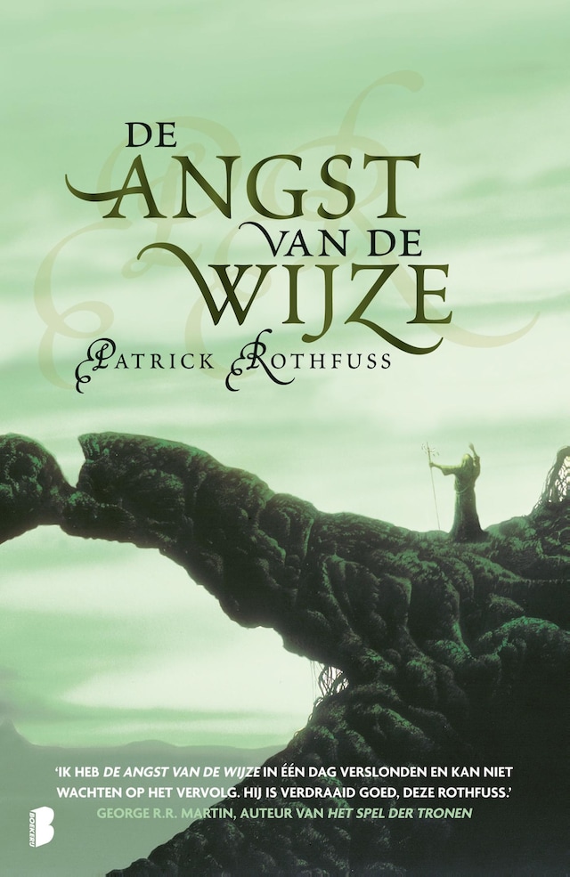 Book cover for De angst van de wijze