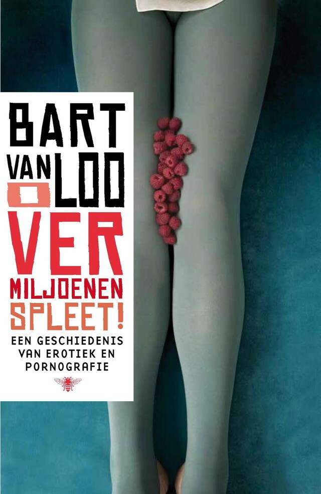 Book cover for O vermiljoenen spleet