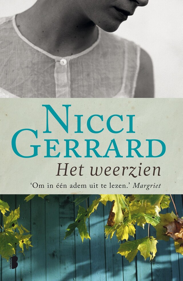 Book cover for Het weerzien