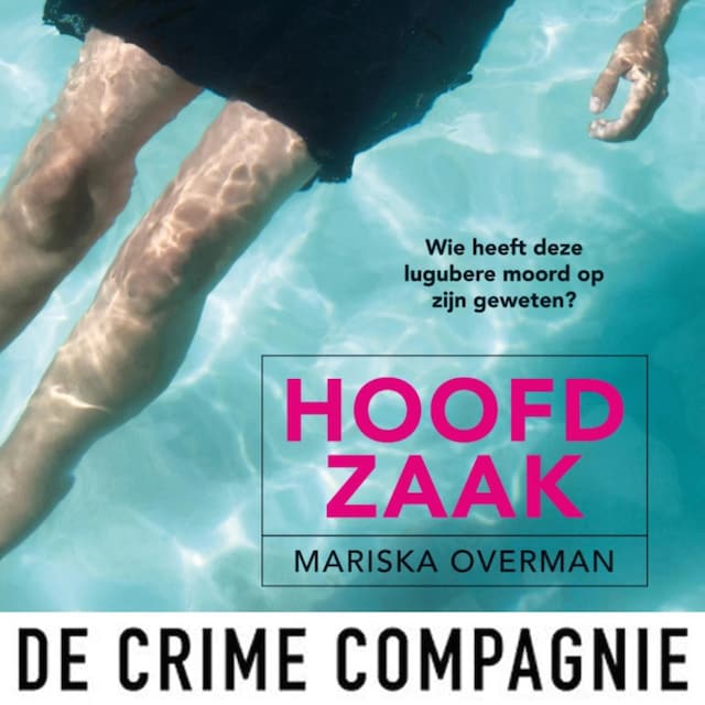 Book cover for Hoofdzaak