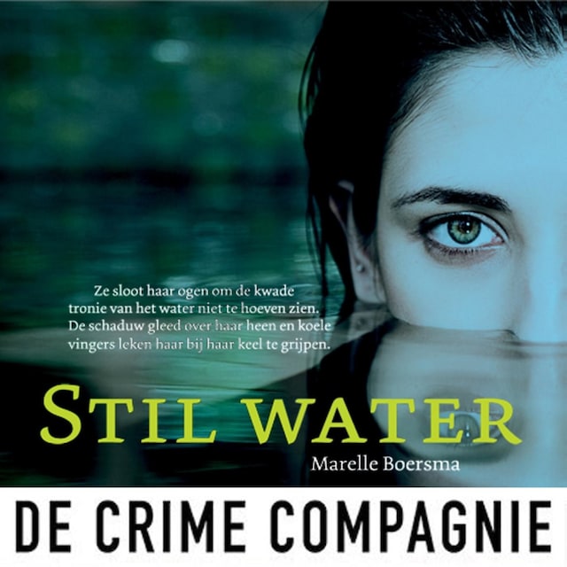 Book cover for Stil water