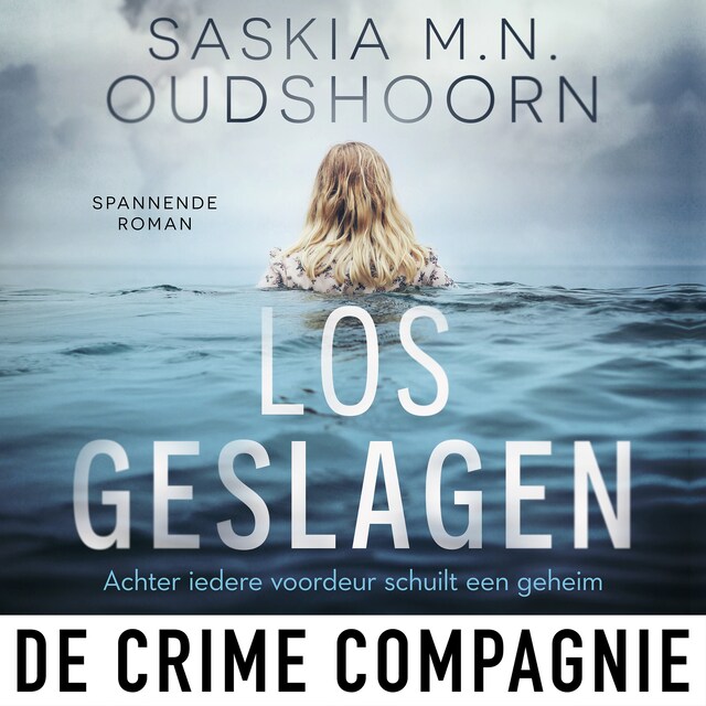 Bokomslag för Los geslagen