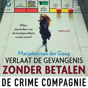 Verlaat de gevangenis zonder betalen - luisterboek