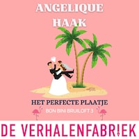Het perfecte plaatje