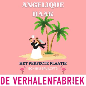 Het perfecte plaatje - luisterboek
