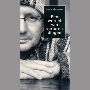 Een wereld van verloren dingen - luisterboek