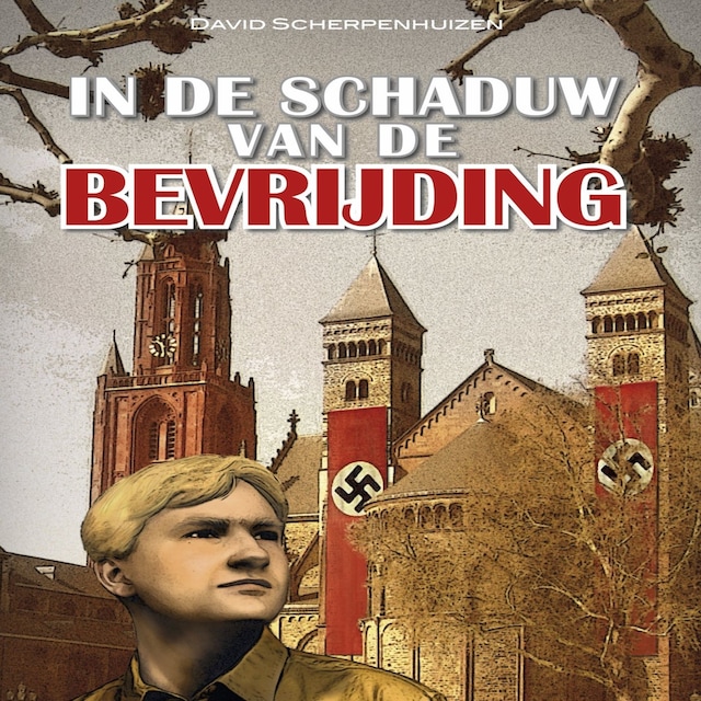 Book cover for In de schaduw van de bevrijding