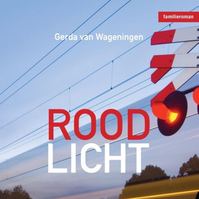 Book cover for Rood licht