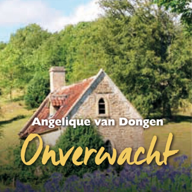 Book cover for Onverwacht