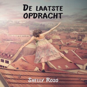 De laatste opdracht - luisterboek