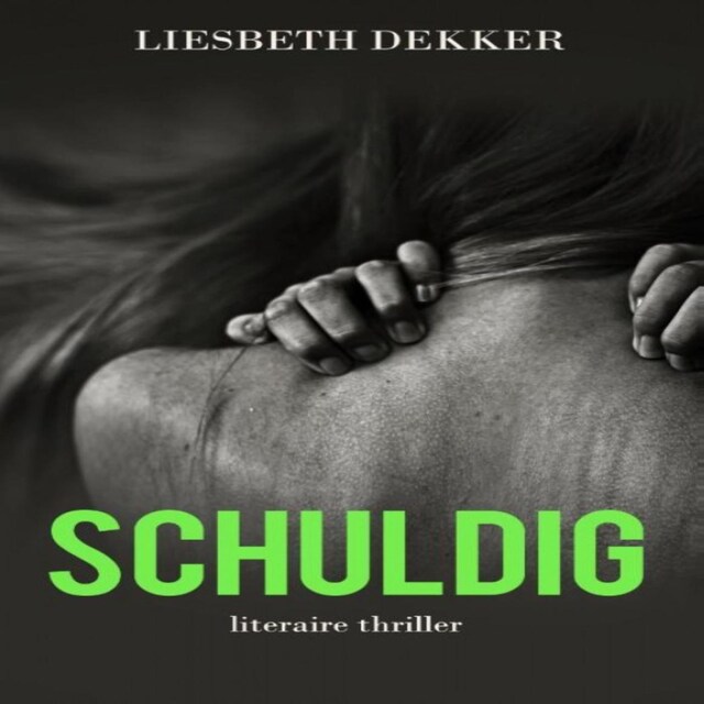 Copertina del libro per Schuldig