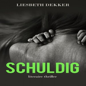 Schuldig - luisterboek