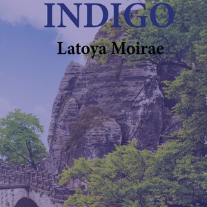 Indigo - luisterboek