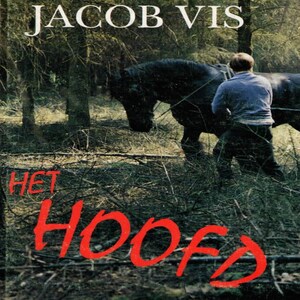 Het hoofd - luisterboek
