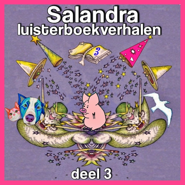 Book cover for Salandra luisterboekverhalen