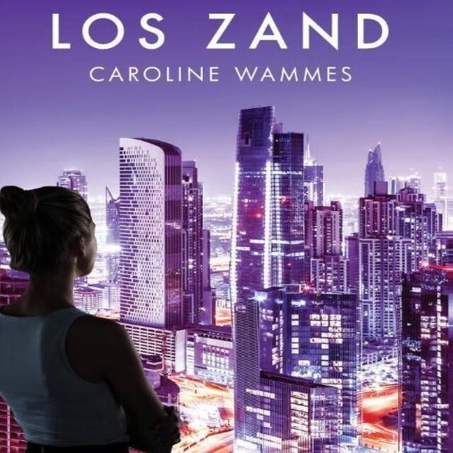 Book cover for Los zand