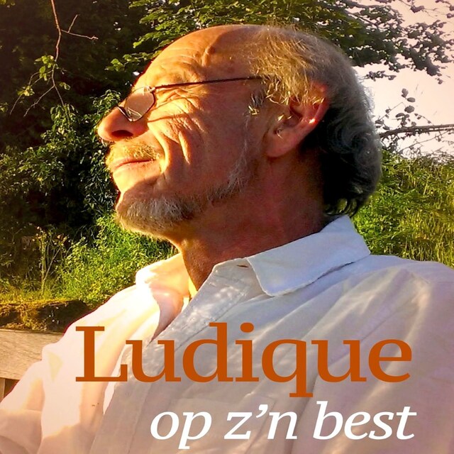 Book cover for Ludique op z'n best