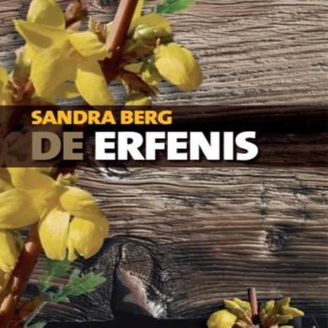Buchcover für De erfenis