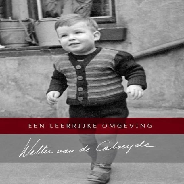 Book cover for Een leerrijke omgeving