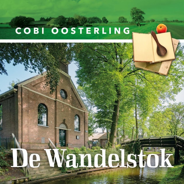 Book cover for De wandelstok